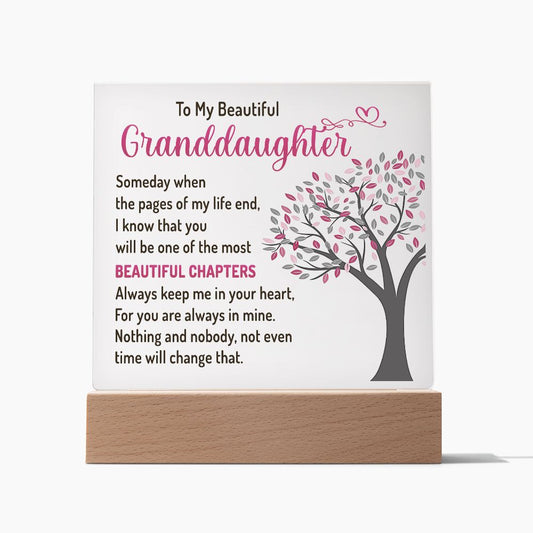 To My Beautiful Granddaughter - Acrylic Plaque #02