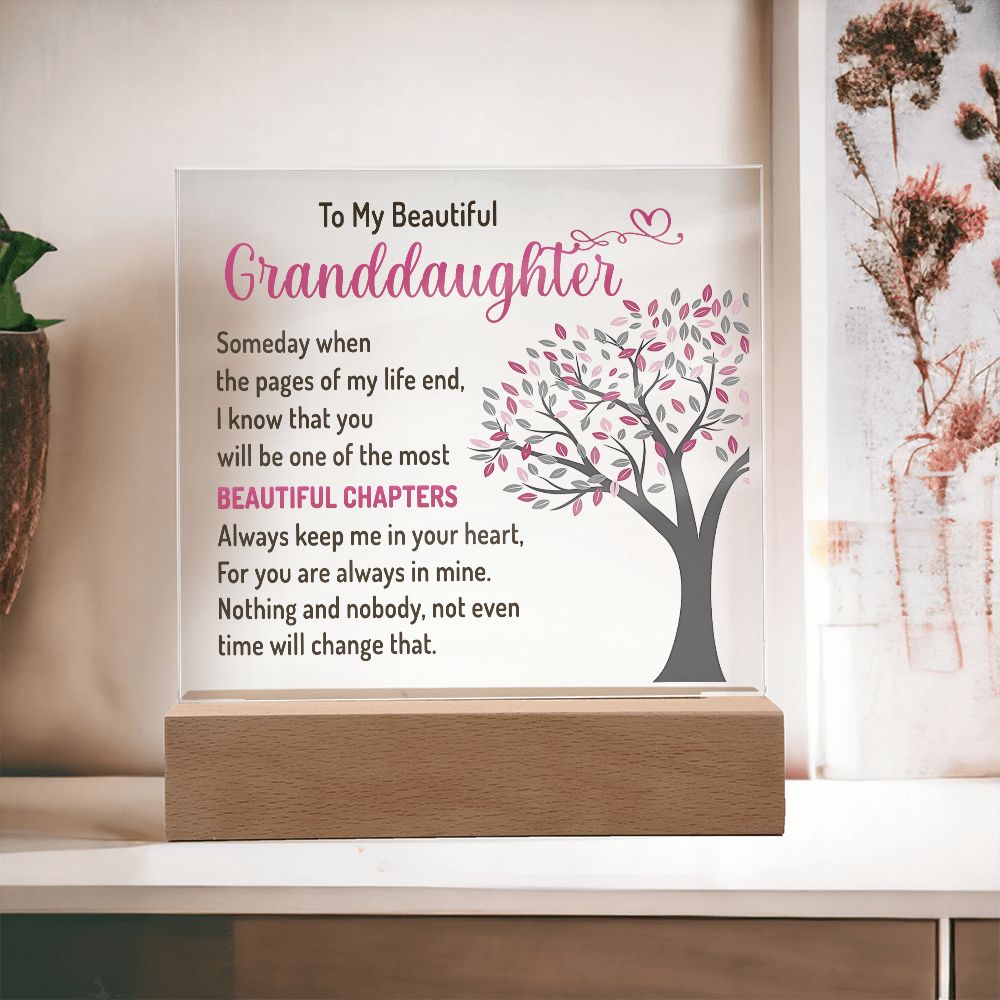 To My Beautiful Granddaughter - Acrylic Plaque #02