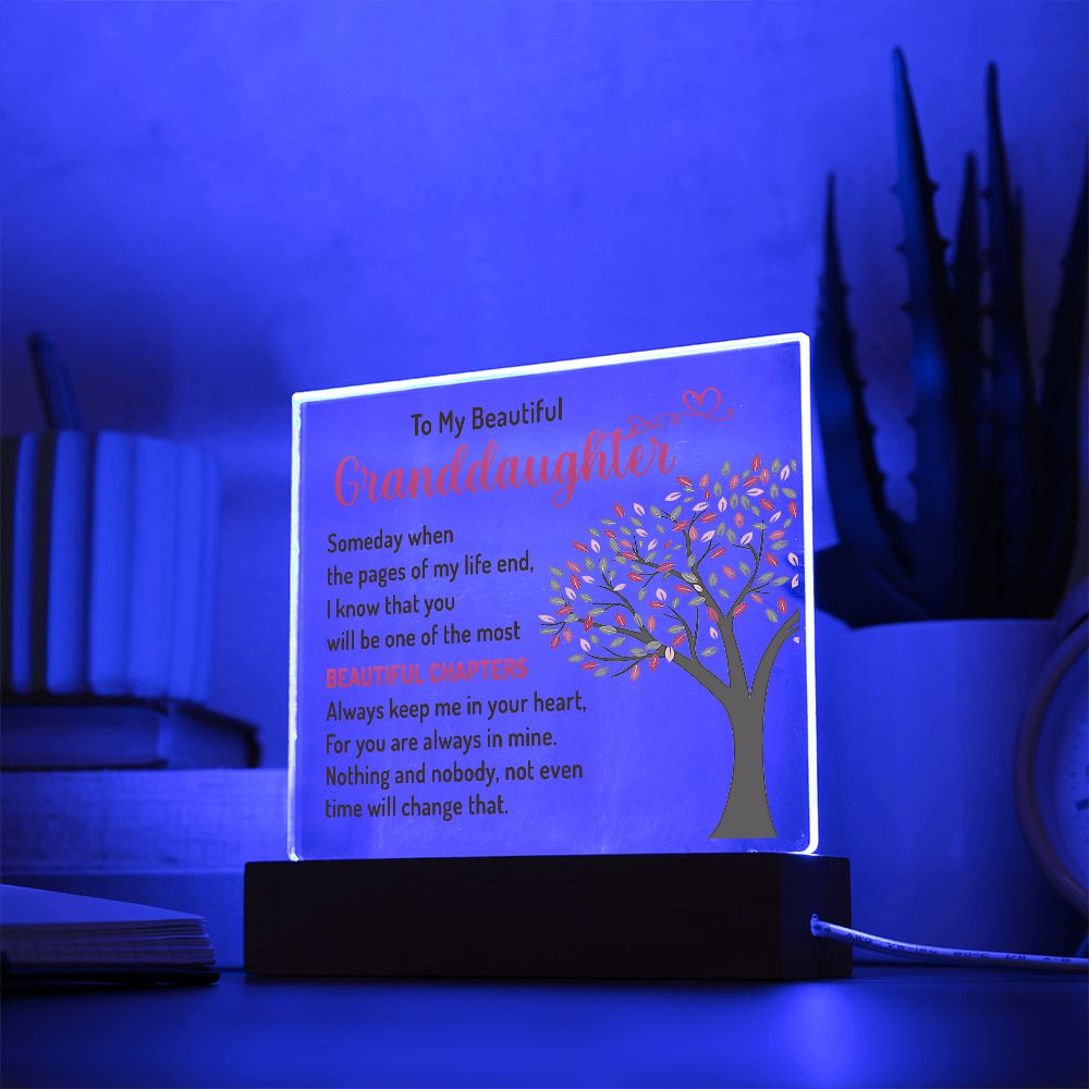 To My Beautiful Granddaughter - Acrylic Plaque #02